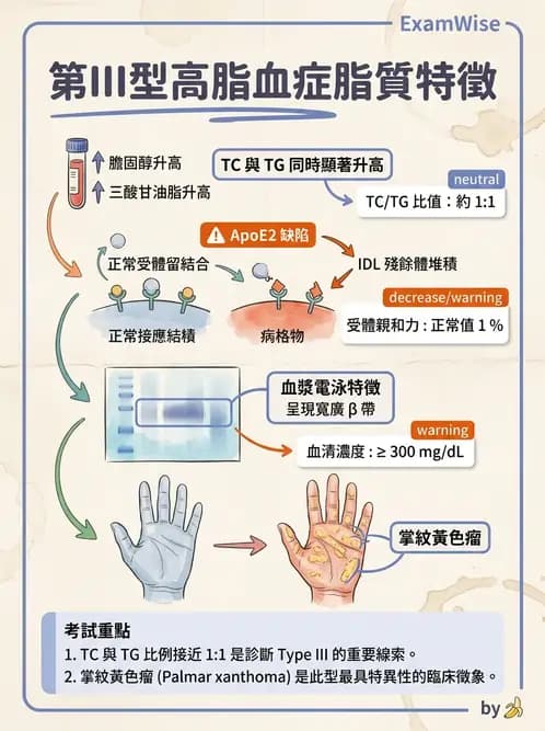 醫檢師 - 脂蛋白分類與臨床應用 - AI 圖文解析預覽