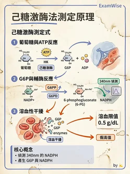 醫檢師 - 醣類代謝與糖尿病 - AI 圖文解析預覽