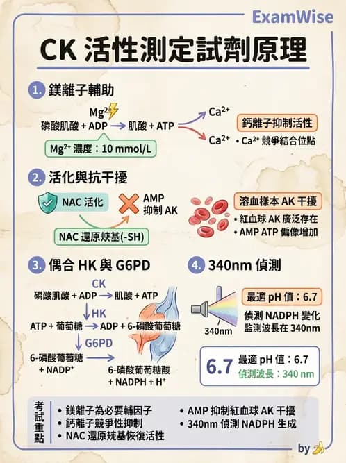 醫檢師 - 心肌標誌與心臟診斷 - AI 圖文解析預覽
