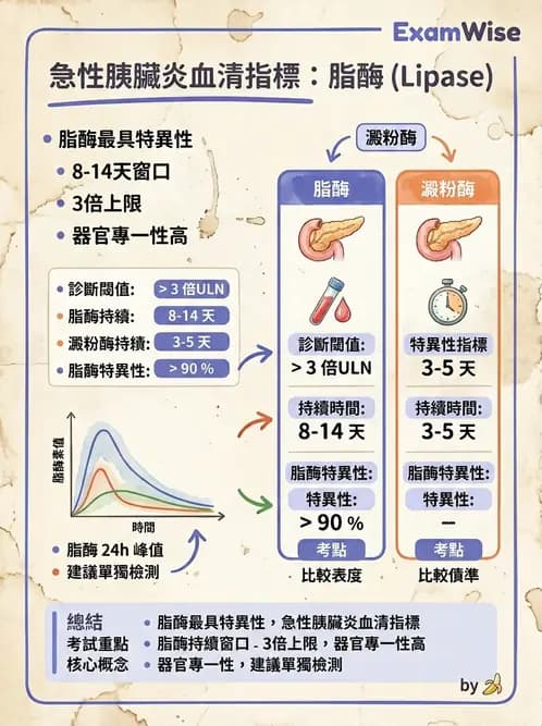 醫檢師 - 肝臟機能與胰臟酵素 - AI 圖文解析預覽