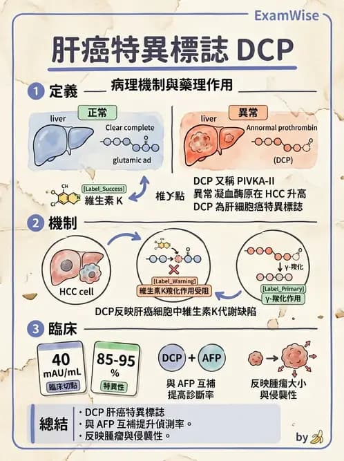 醫檢師 - 腫瘤標誌 - AI 圖文解析預覽