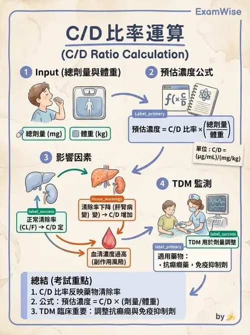 醫檢師 - 治療藥物監測與毒物學 - AI 圖文解析預覽