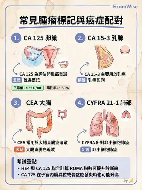 醫檢師 - 腫瘤標誌 - AI 圖文解析預覽