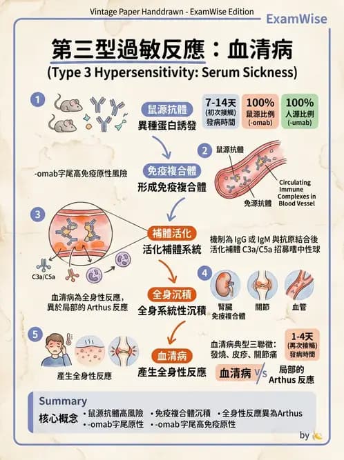 醫檢師 - 過敏反應及測試法 - AI 圖文解析預覽