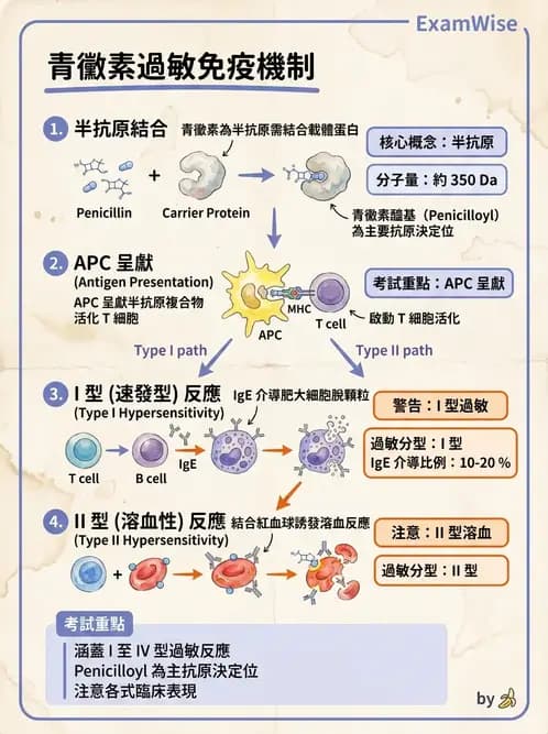 醫檢師 - 過敏反應及測試法 - AI 圖文解析預覽