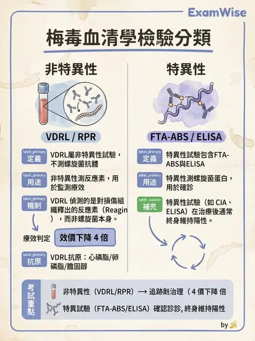 醫檢師 - 急性發炎蛋白與微生物感染血清學 - AI 圖文解析預覽