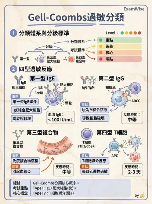 醫檢師 - 過敏反應及測試法 - AI 圖文解析預覽