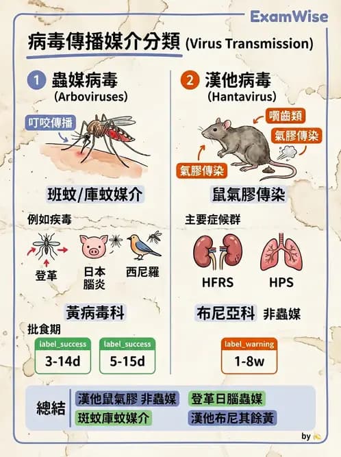 醫檢師 - 其他RNA病毒 - AI 圖文解析預覽