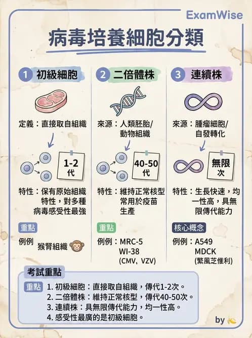 醫檢師 - 病毒檢驗技術 - AI 圖文解析預覽