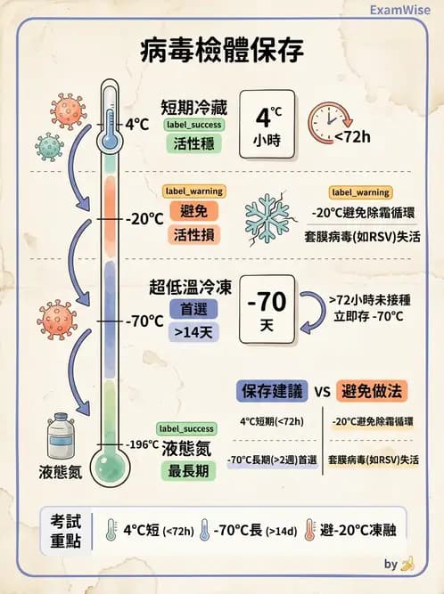 醫檢師 - 病毒檢驗技術 - AI 圖文解析預覽