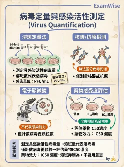醫檢師 - 病毒檢驗技術 - AI 圖文解析預覽