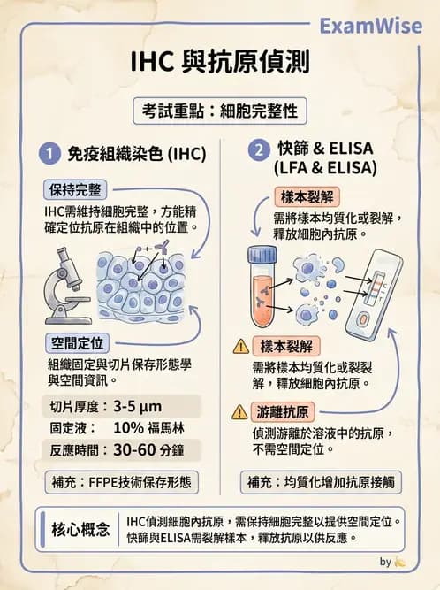 醫檢師 - 病毒檢驗技術 - AI 圖文解析預覽