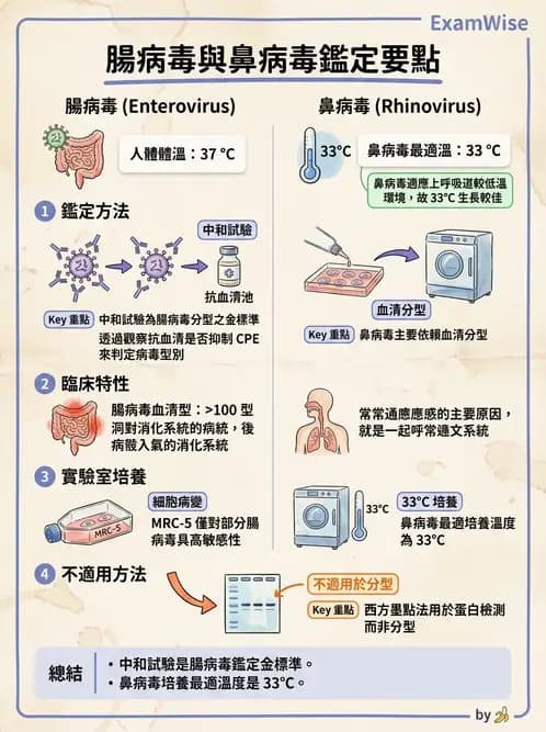 醫檢師 - 小RNA病毒科與腸道病毒 - AI 圖文解析預覽