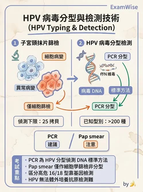 醫檢師 - 人類乳突病毒 - AI 圖文解析預覽