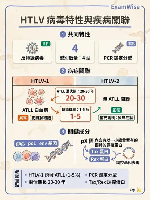 醫檢師 - 反轉錄病毒(HIV/HTLV) - AI 圖文解析預覽