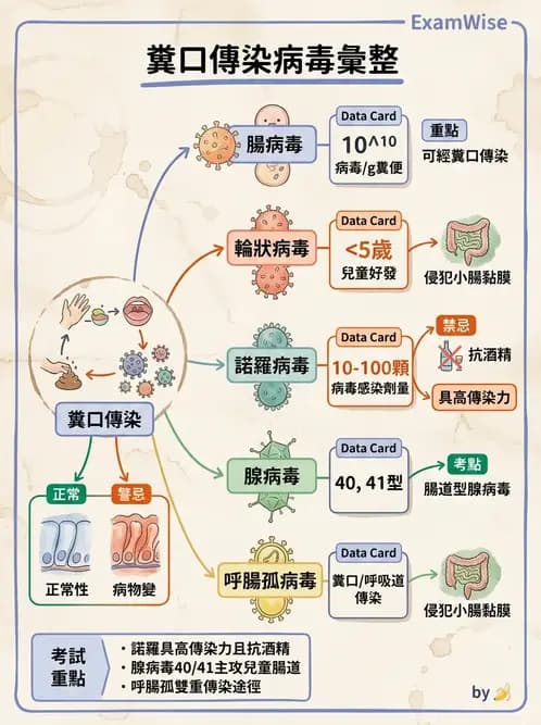 醫檢師 - 其他RNA病毒 - AI 圖文解析預覽