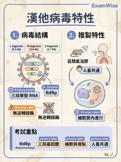 醫檢師 - 其他RNA病毒 - AI 圖文解析預覽