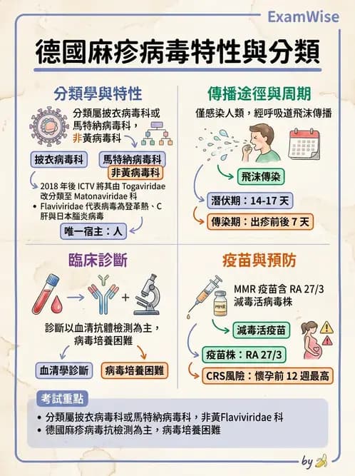 醫檢師 - 其他RNA病毒 - AI 圖文解析預覽