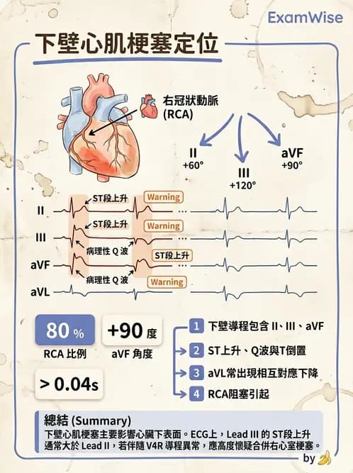 醫檢師 - 心肌病變與特殊心電圖 - AI 圖文解析預覽