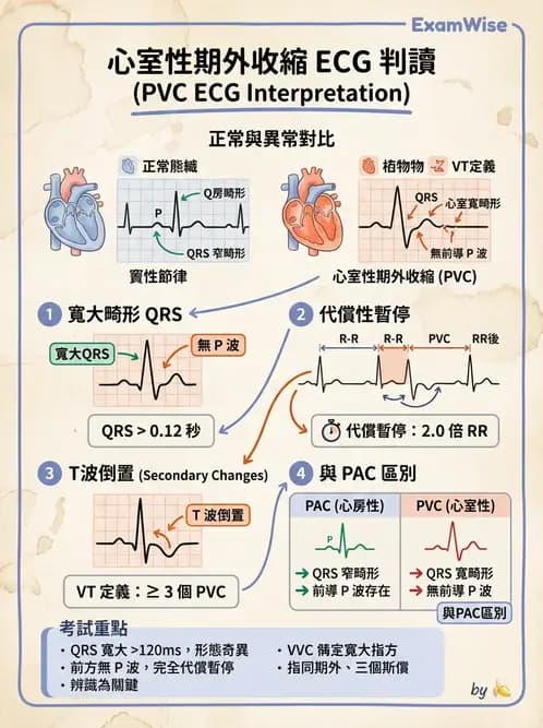 醫檢師 - 心律不整判讀 - AI 圖文解析預覽