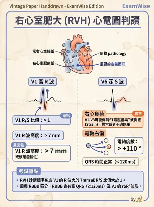 醫檢師 - 心肌病變與特殊心電圖 - AI 圖文解析預覽