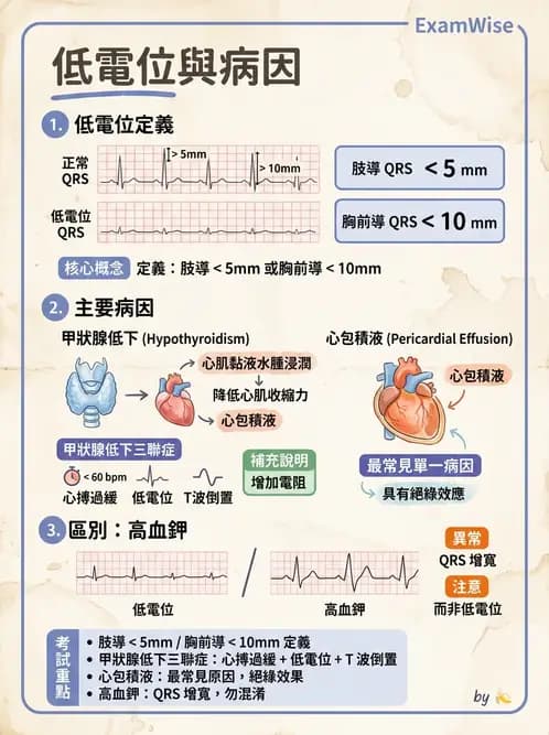 醫檢師 - 心肌病變與特殊心電圖 - AI 圖文解析預覽