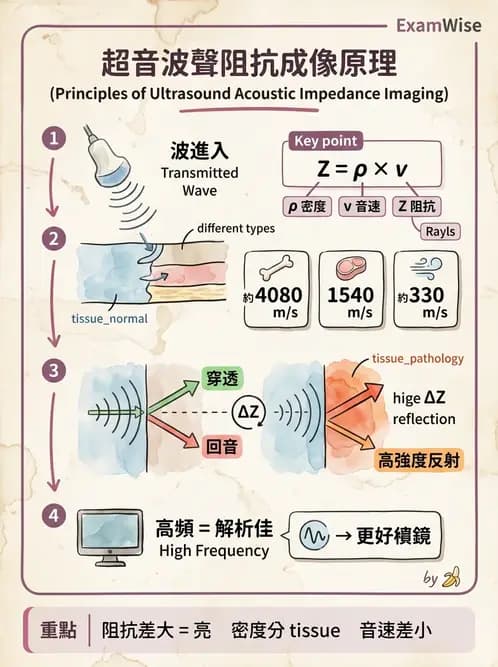 醫檢師 - 超音波檢查 - AI 圖文解析預覽