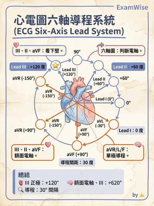 醫檢師 - 心電圖基礎與判讀 - AI 圖文解析預覽