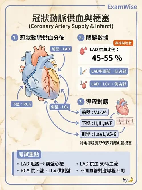 醫檢師 - 心肌病變與特殊心電圖 - AI 圖文解析預覽