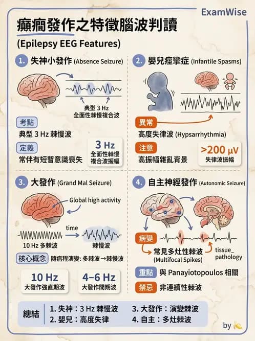 醫檢師 - 腦電圖檢查 - AI 圖文解析預覽