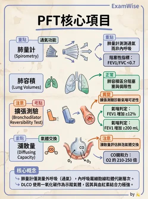 醫檢師 - 肺功能基礎與指標 - AI 圖文解析預覽
