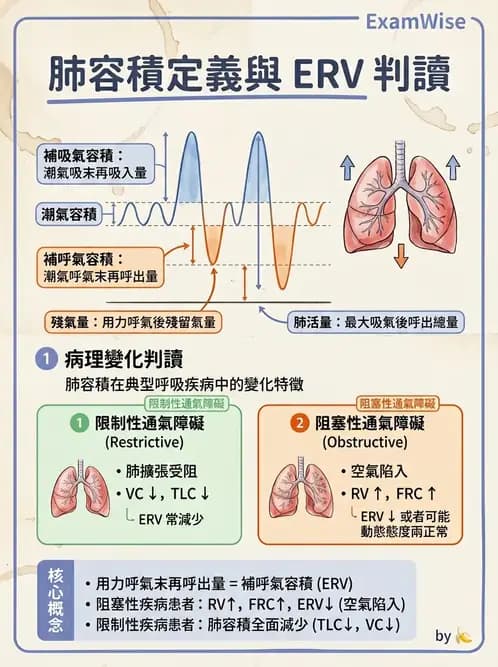 醫檢師 - 肺功能基礎與指標 - AI 圖文解析預覽