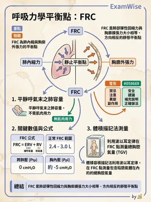 醫檢師 - 肺功能基礎與指標 - AI 圖文解析預覽