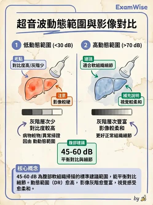 醫檢師 - 超音波檢查 - AI 圖文解析預覽