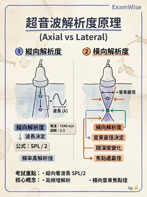 醫檢師 - 超音波檢查 - AI 圖文解析預覽