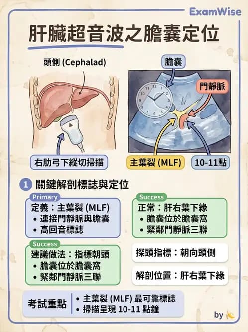 醫檢師 - 超音波檢查 - AI 圖文解析預覽