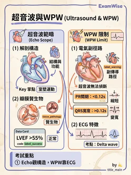 醫檢師 - 超音波檢查 - AI 圖文解析預覽