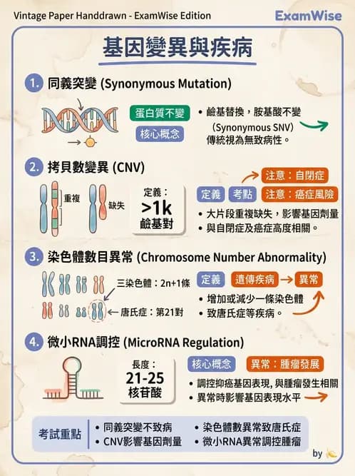 醫檢師 - 遺傳和發育疾病 - AI 圖文解析預覽