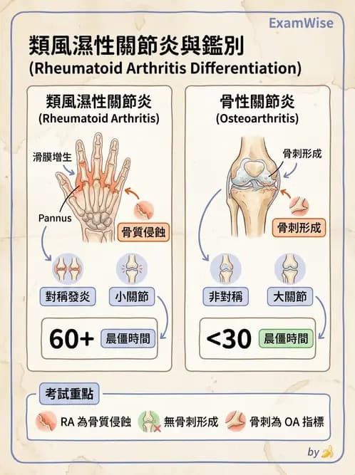 醫檢師 - 免疫疾病 - AI 圖文解析預覽
