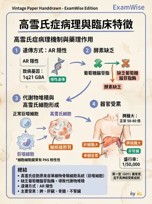 醫檢師 - 遺傳和發育疾病 - AI 圖文解析預覽