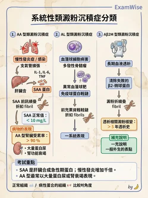 醫檢師 - 細胞傷害、發炎與修復 - AI 圖文解析預覽