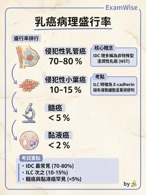 醫檢師 - 乳房及女性生殖疾病 - AI 圖文解析預覽