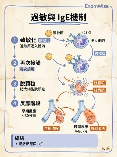 醫檢師 - 呼吸系統疾病 - AI 圖文解析預覽