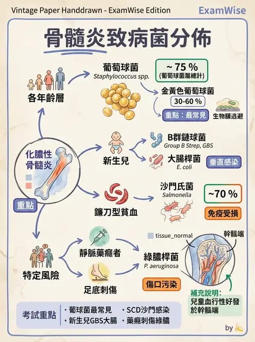醫檢師 - 骨骼及軟組織疾病 - AI 圖文解析預覽