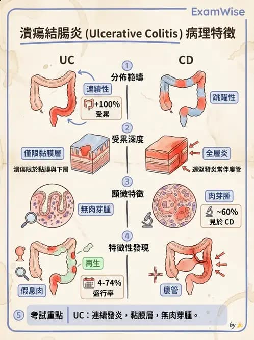 醫檢師 - 消化肝膽疾病 - AI 圖文解析預覽