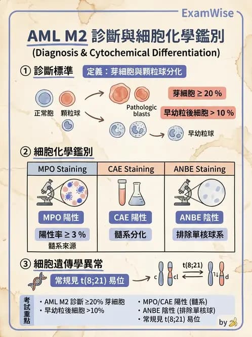 醫檢師 - 急性白血病 - AI 圖文解析預覽