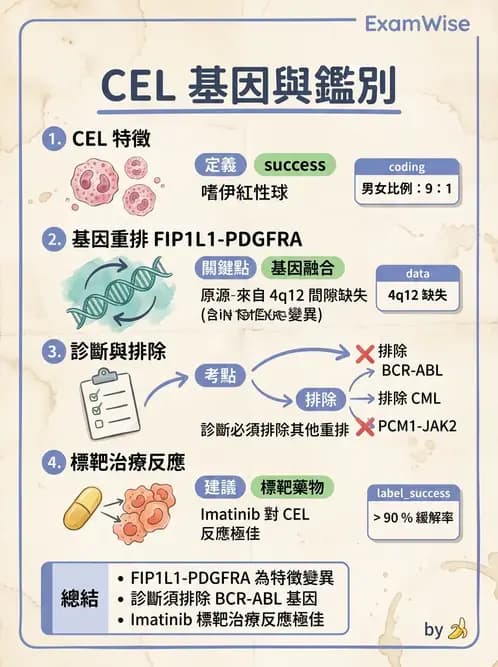 醫檢師 - 慢性血液腫瘤與骨髓增生疾患 - AI 圖文解析預覽