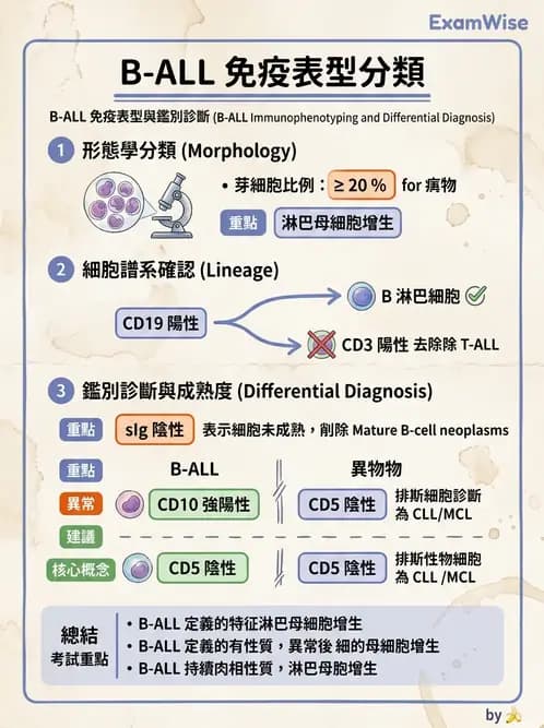 醫檢師 - 淋巴瘤、漿細胞疾病與白血球異常 - AI 圖文解析預覽