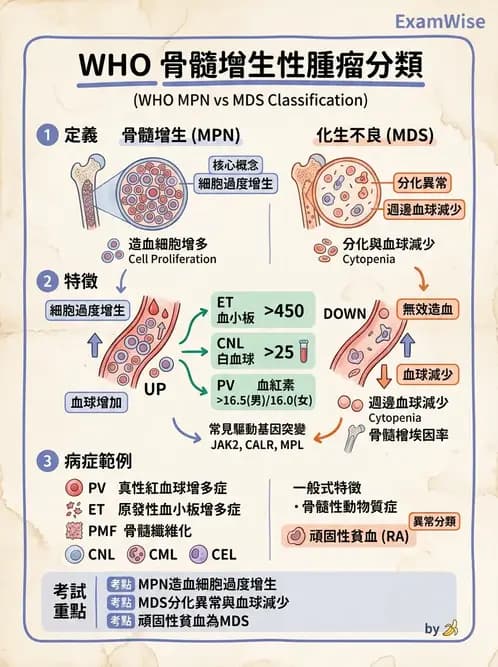 醫檢師 - 慢性血液腫瘤與骨髓增生疾患 - AI 圖文解析預覽