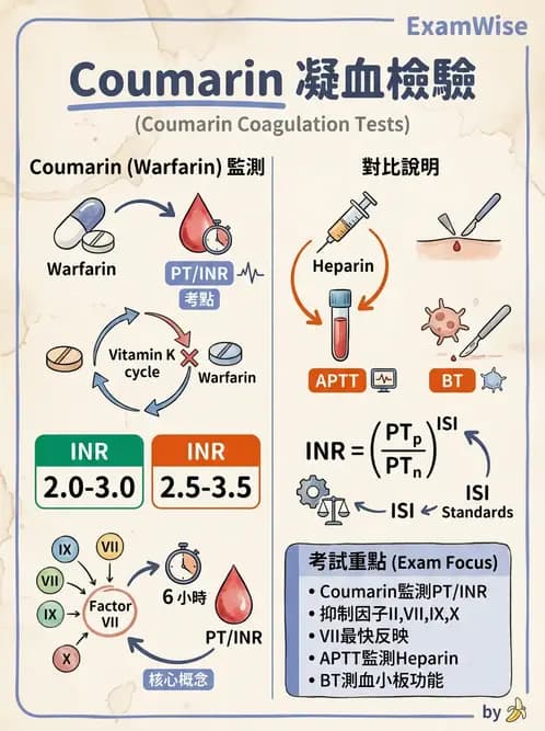醫檢師 - 血栓性疾病與抗凝治療監測 - AI 圖文解析預覽